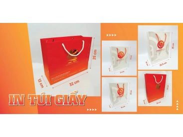 IN TÚI GIẤY 